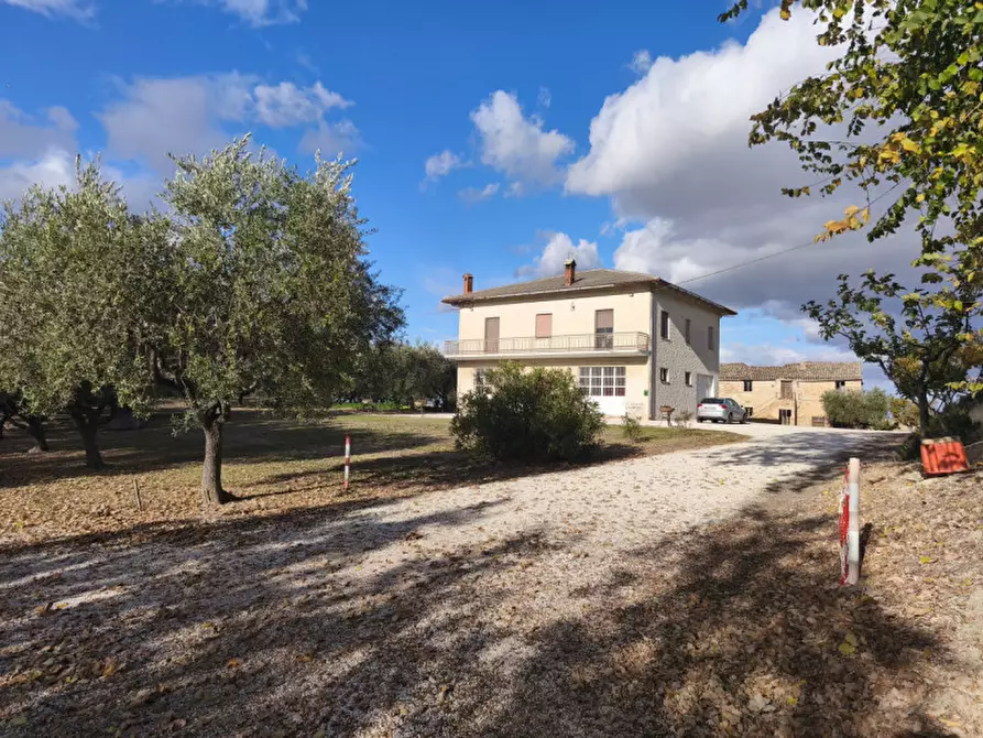 Immagine 2 di Casa indipendente in vendita  in VIA SERRALTA a Montecassiano