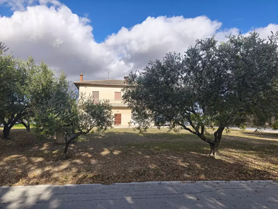 Immagine 16 di Casa indipendente in vendita  in VIA SERRALTA a Montecassiano