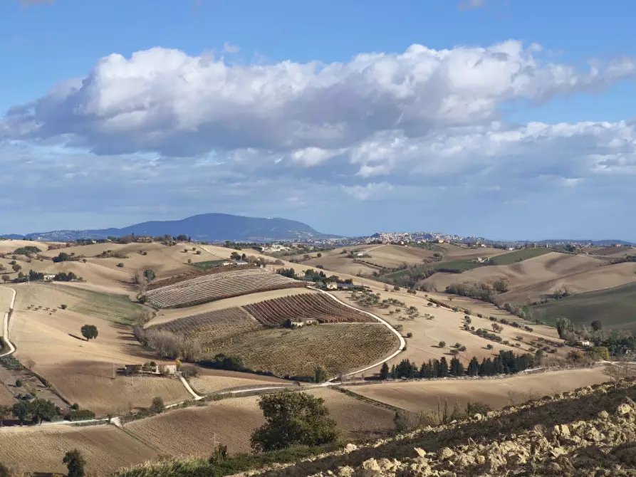 Immagine 24 di Casa indipendente in vendita  in VIA SERRALTA a Montecassiano