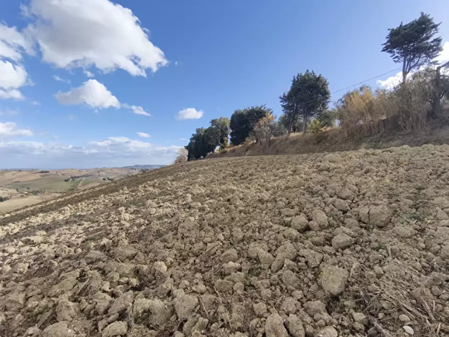 Immagine 24 di Casa indipendente in vendita  in VIA SERRALTA a Montecassiano
