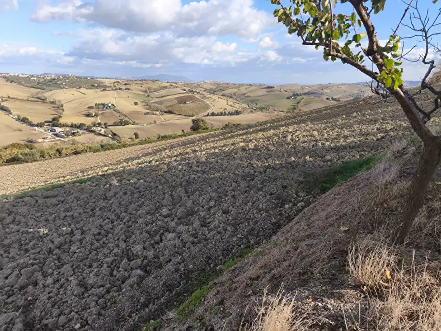 Immagine 25 di Casa indipendente in vendita  in VIA SERRALTA a Montecassiano