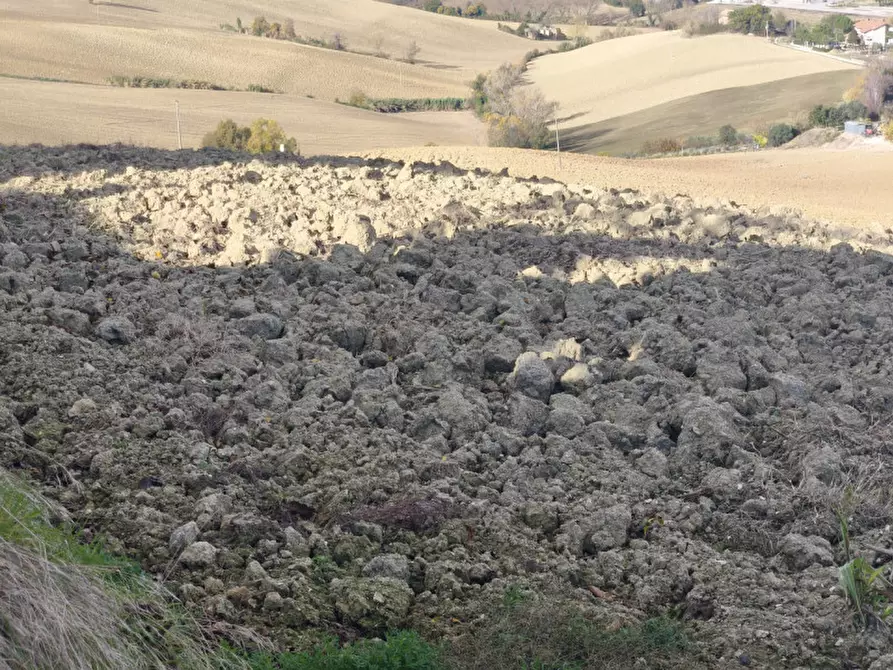 Immagine 32 di Casa indipendente in vendita  in VIA SERRALTA a Montecassiano