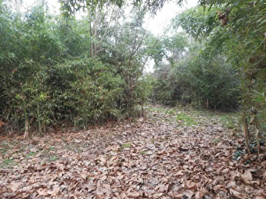 Immagine 4 di Casa indipendente in vendita  in Via Ongarie, 30 a Morgano