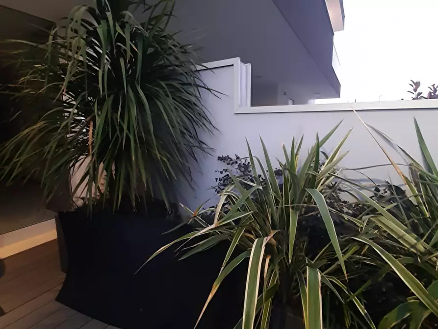 Immagine 3 di Attico in vendita  in via marconi a Vigodarzere