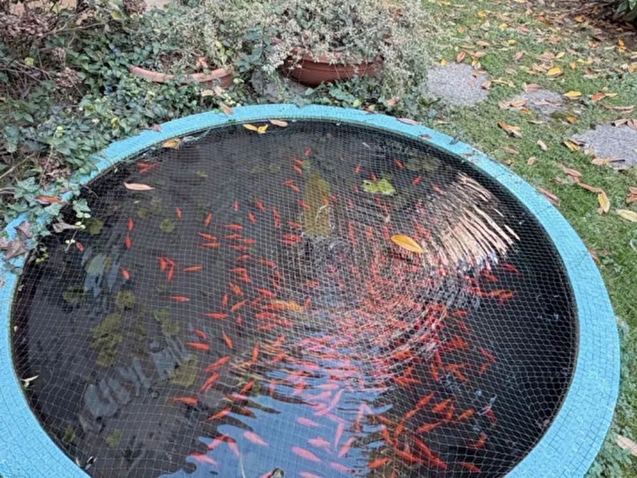 Immagine 14 di Appartamento in affitto  in CENTRO STORICO PADOVA RIF 1131 a Padova