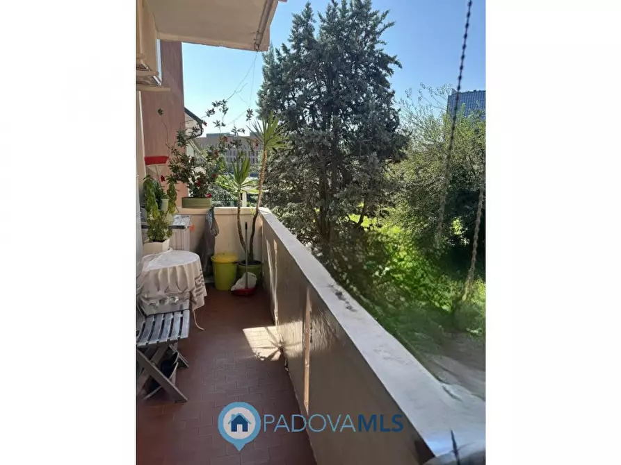 Immagine 16 di Appartamento in vendita  in via antonio tonzig, 1G a Padova