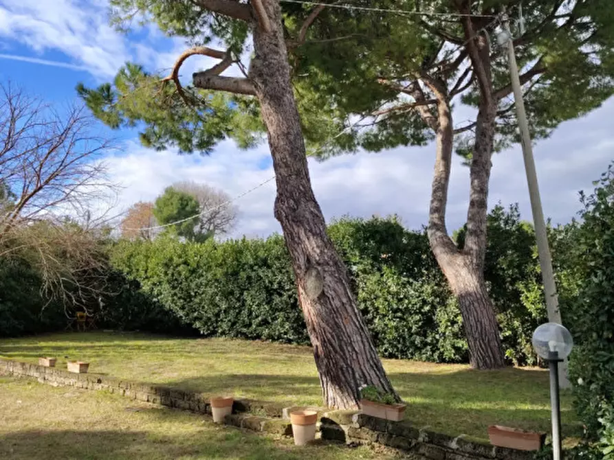 Immagine 24 di Villa in affitto  in VIALE MARE VERDE a Numana