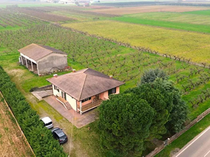 Immagine 6 di Villa in vendita  a Valeggio Sul Mincio