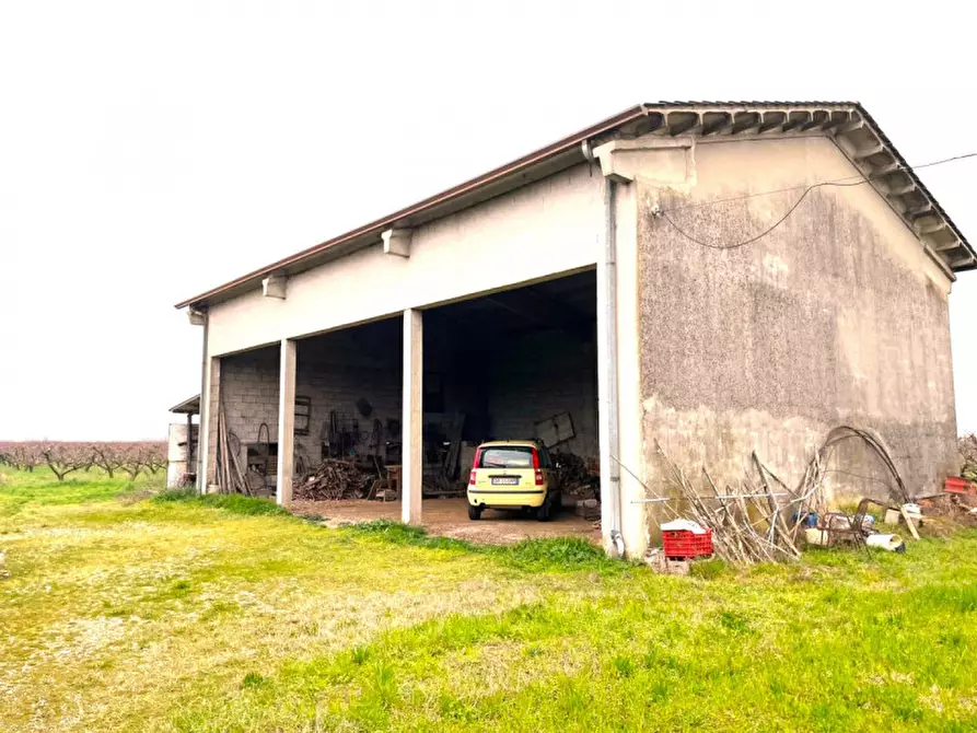 Immagine 13 di Villa in vendita  a Valeggio Sul Mincio