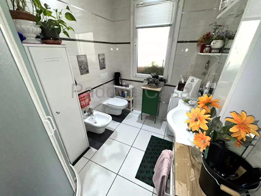 Immagine 6 di Appartamento in vendita  a Padova