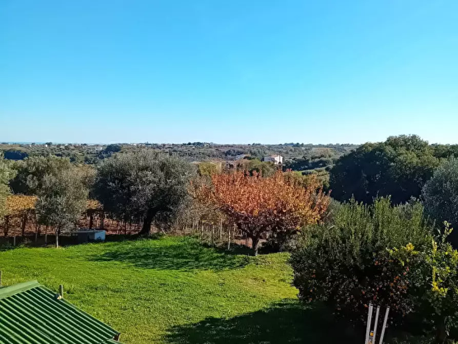 Immagine 12 di Casa bifamiliare in vendita  in zona lido riccio a Ortona