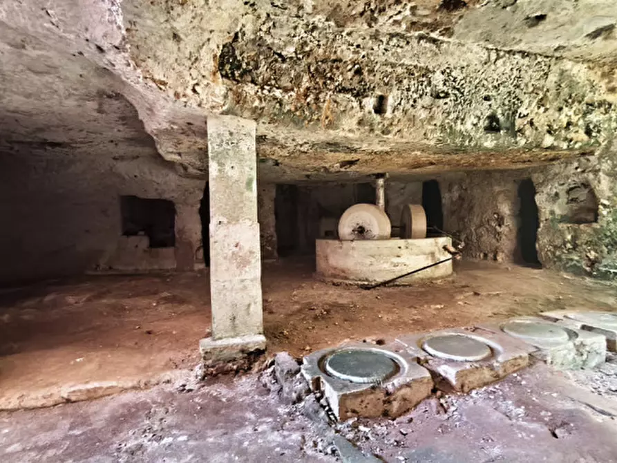 Immagine 24 di Rustico / casale in vendita  a Monopoli
