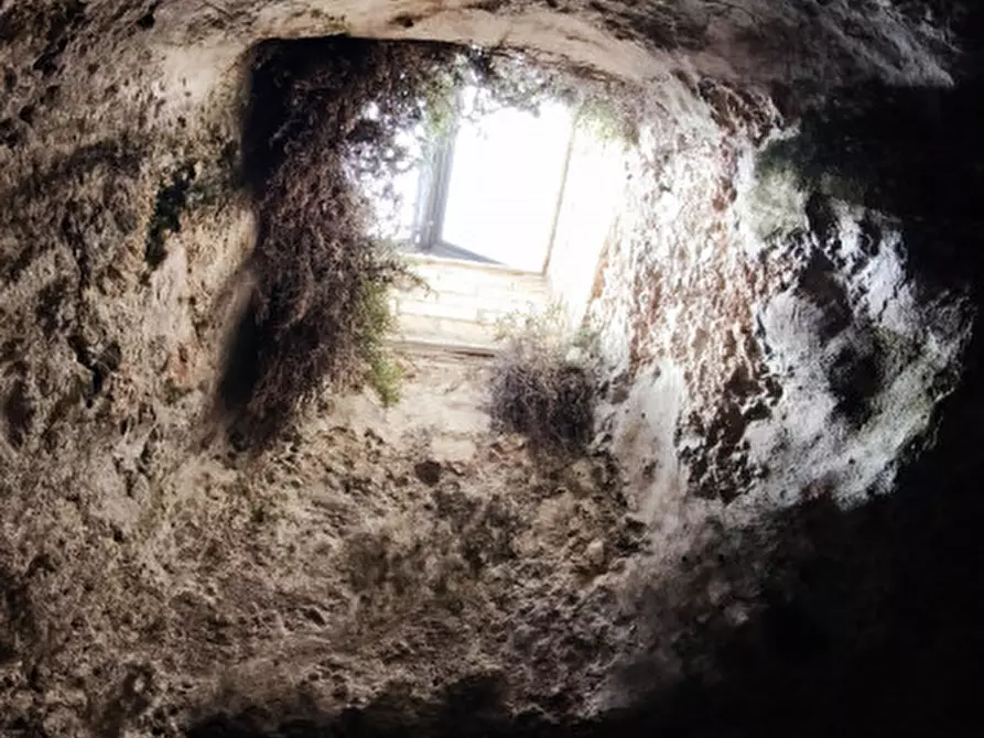 Immagine 30 di Rustico / casale in vendita  a Monopoli