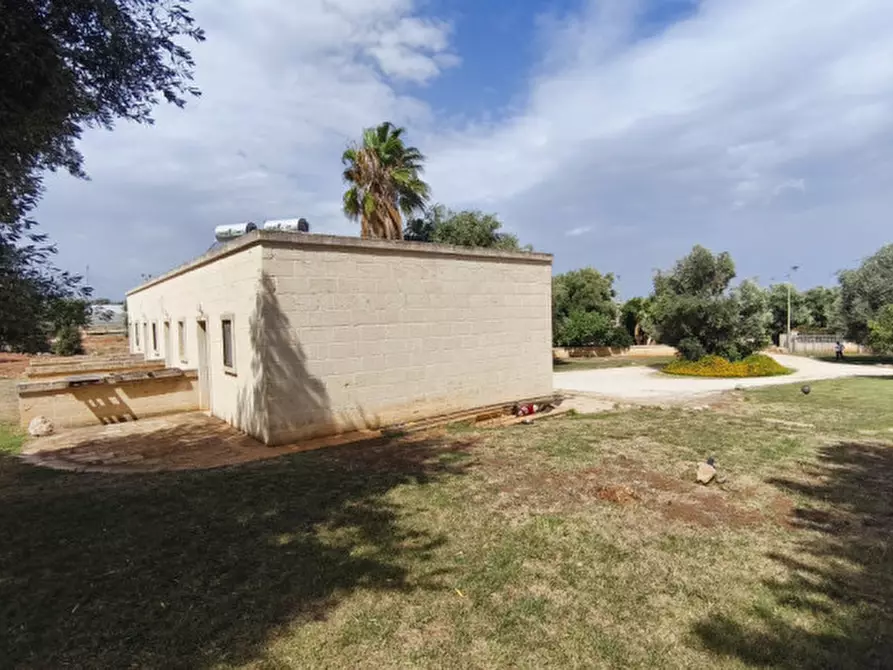 Immagine 36 di Rustico / casale in vendita  a Monopoli