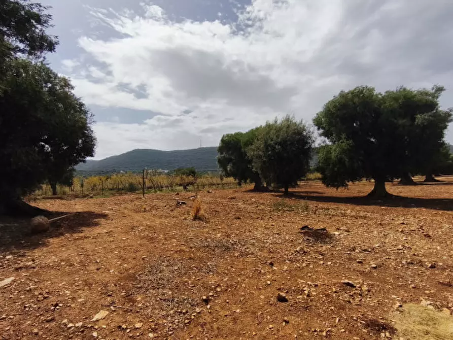 Immagine 39 di Rustico / casale in vendita  a Monopoli