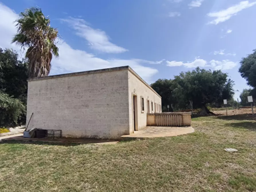 Immagine 40 di Rustico / casale in vendita  a Monopoli