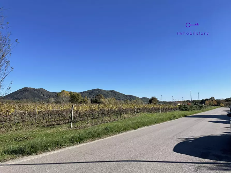 Immagine 1 di Terreno in vendita  a Galzignano Terme