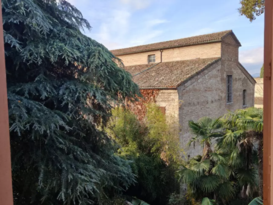 Immagine 5 di Appartamento in vendita  a Cesena