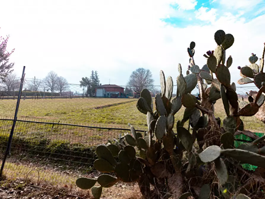 Immagine 13 di Rustico / casale in vendita  in Via Larga a Castel Guelfo Di Bologna