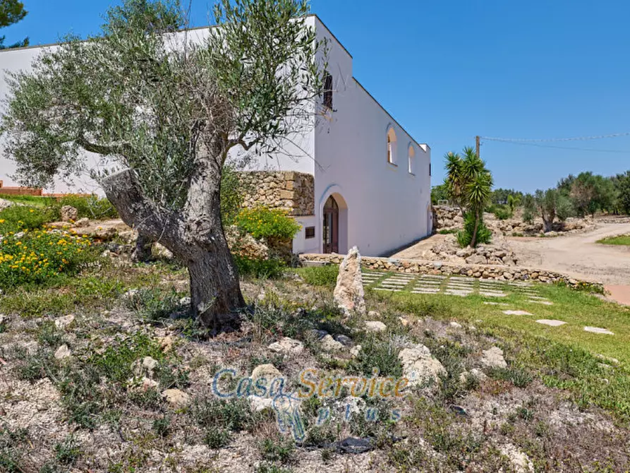 Immagine 4 di Villa in vendita  in Via Contrada Mauri a Sannicola