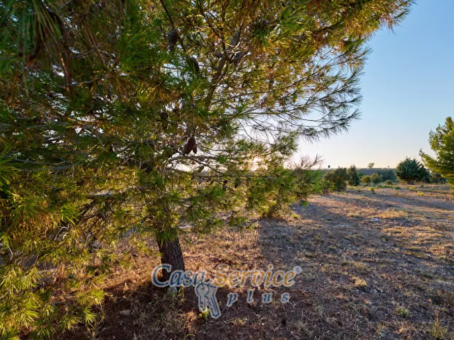 Immagine 27 di Villa in vendita  in Via Contrada Mauri a Sannicola