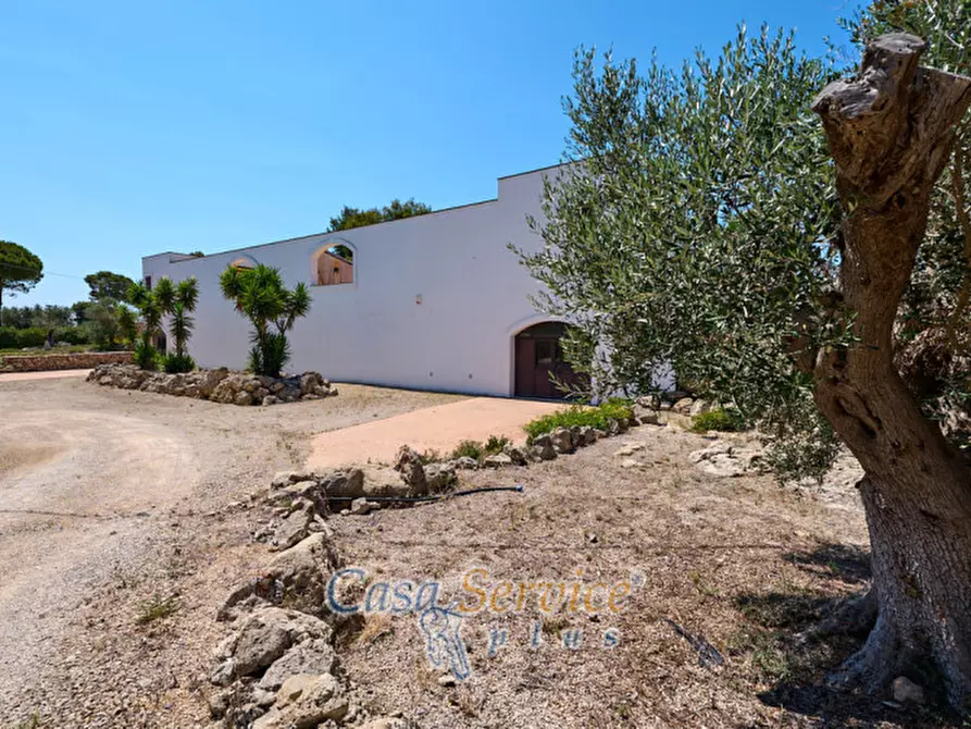 Immagine 47 di Villa in vendita  in Via Contrada Mauri a Sannicola