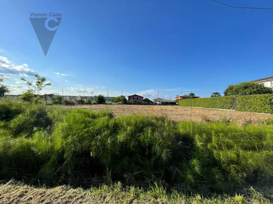 Immagine 8 di Terreno in vendita  a Legnaro