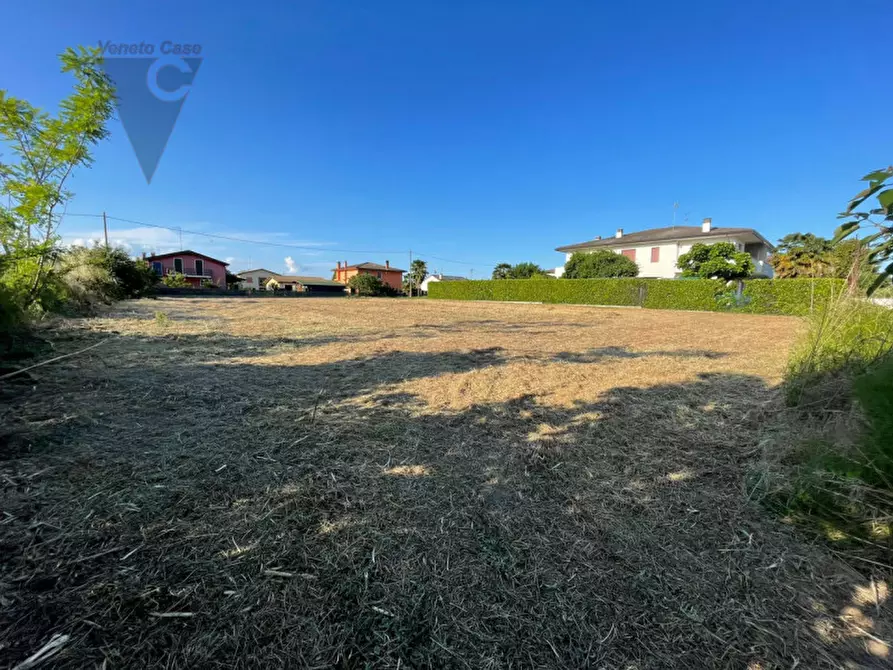 Immagine 7 di Terreno in vendita  a Legnaro