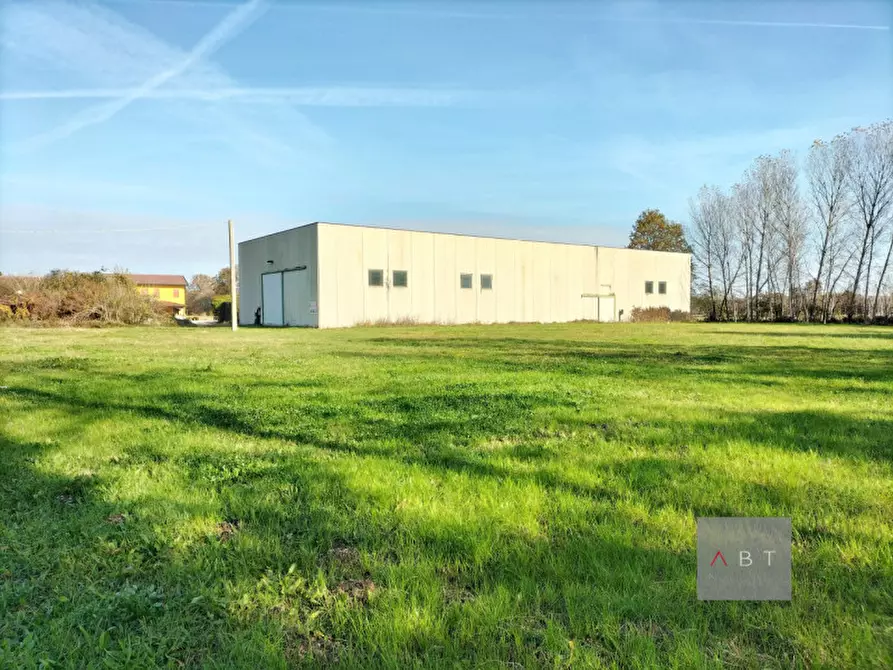 Immagine 2 di Capannone industriale in vendita  a Massanzago