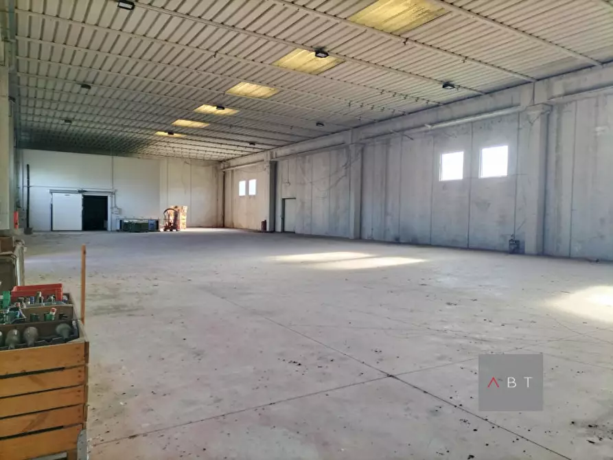 Immagine 2 di Capannone industriale in vendita  a Massanzago