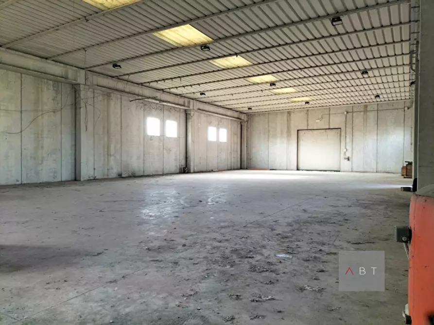 Immagine 3 di Capannone industriale in vendita  a Massanzago