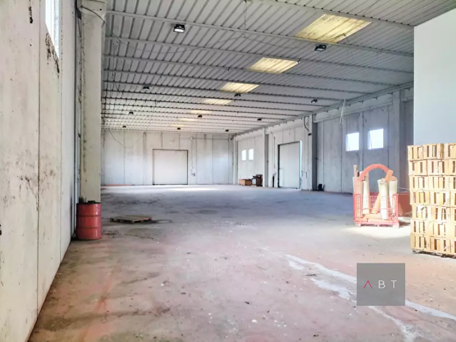 Immagine 4 di Capannone industriale in vendita  a Massanzago