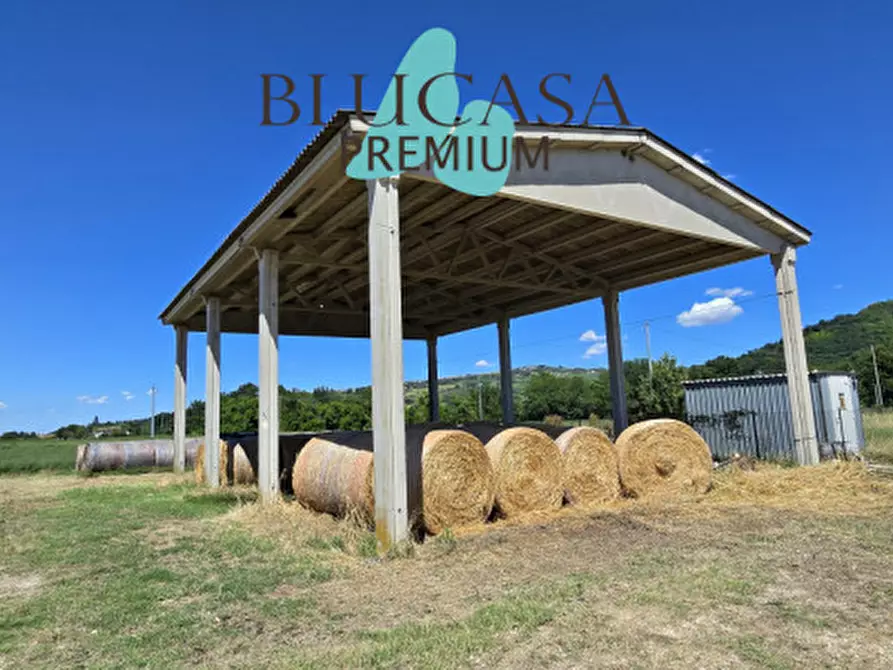 Immagine 1 di Capannone industriale in vendita  in Via Castelnuovo a Meldola