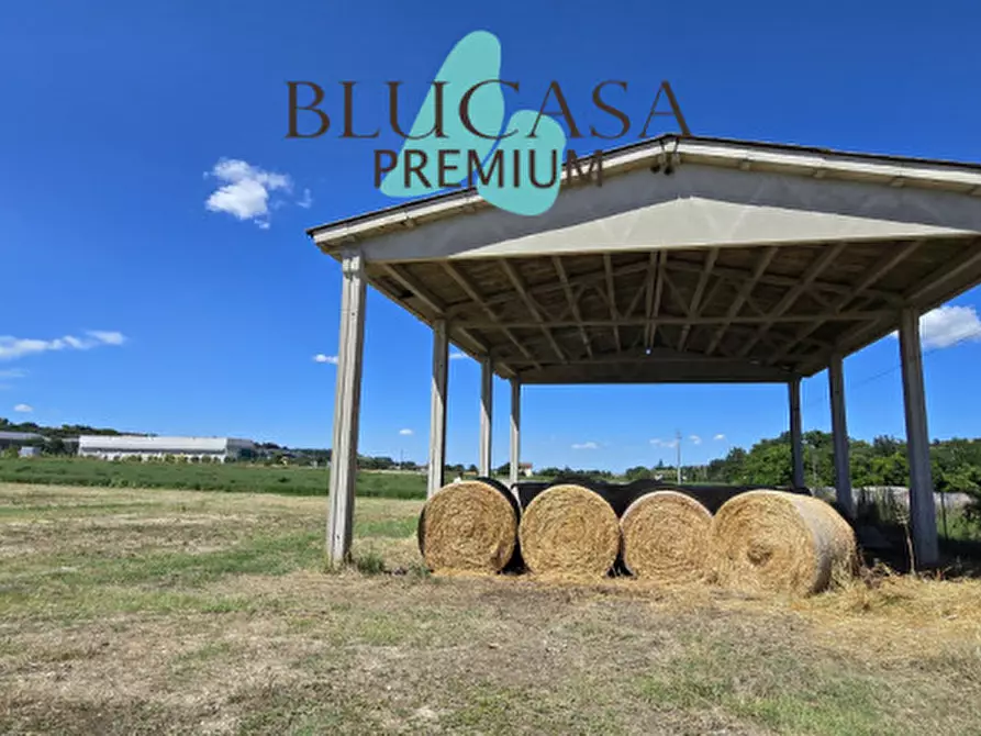 Immagine 2 di Capannone industriale in vendita  in Via Castelnuovo a Meldola