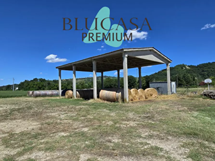 Immagine 3 di Capannone industriale in vendita  in Via Castelnuovo a Meldola