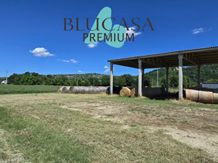 Immagine 4 di Capannone industriale in vendita  in Via Castelnuovo a Meldola