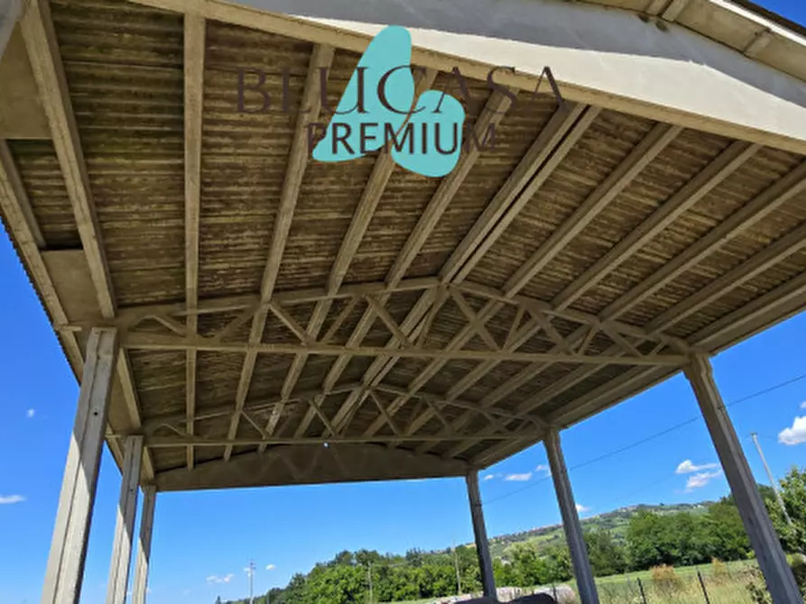 Immagine 5 di Capannone industriale in vendita  in Via Castelnuovo a Meldola