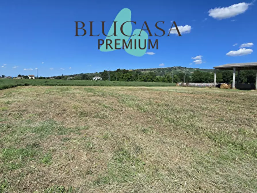 Immagine 6 di Capannone industriale in vendita  in Via Castelnuovo a Meldola