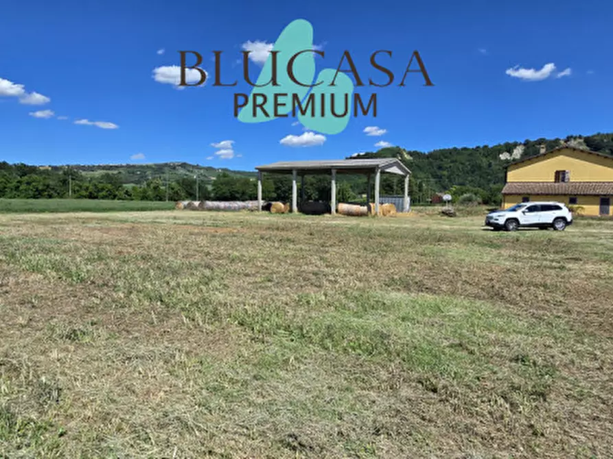 Immagine 7 di Capannone industriale in vendita  in Via Castelnuovo a Meldola