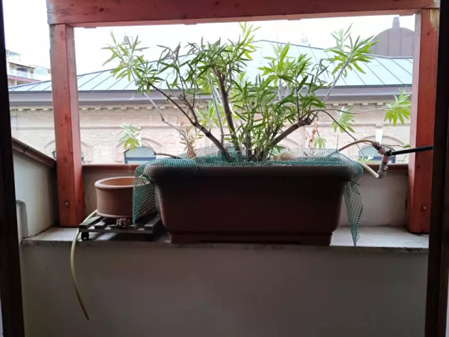 Immagine 14 di Appartamento in affitto  in PIAZZA MAZZINI a Falconara Marittima