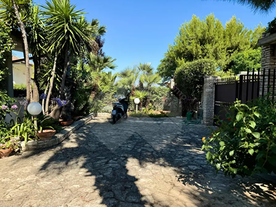 Immagine 6 di Villa in vendita  a Bisceglie