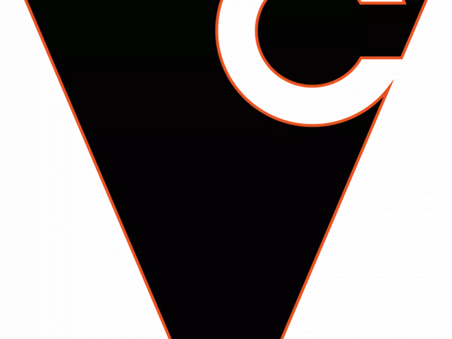 Immagine 5 di Casa bifamiliare in vendita  in Via Cavin Caselle a Villanova Di Camposampiero