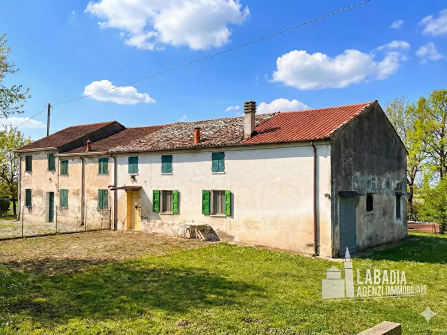 Immagine 2 di Rustico / casale in vendita  in Via Trecenta - SP11 1965 a Ceneselli