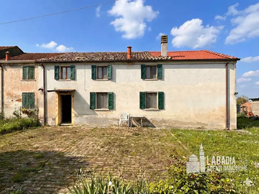 Immagine 4 di Rustico / casale in vendita  in Via Trecenta - SP11 1965 a Ceneselli