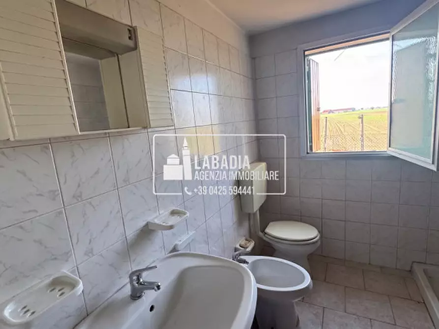 Immagine 19 di Rustico / casale in vendita  in Via Trecenta - SP11 1965 a Ceneselli