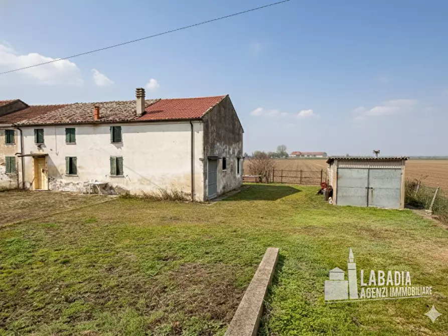 Immagine 22 di Rustico / casale in vendita  in Via Trecenta - SP11 1965 a Ceneselli