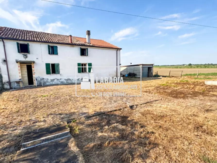 Immagine 28 di Rustico / casale in vendita  in Via Trecenta - SP11 1965 a Ceneselli