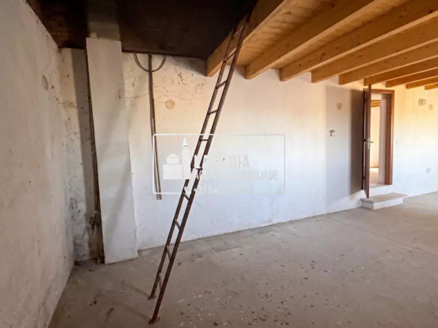 Immagine 33 di Rustico / casale in vendita  in Via Trecenta - SP11 1965 a Ceneselli