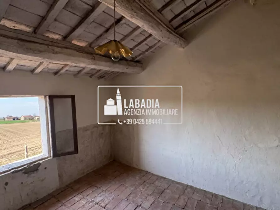 Immagine 36 di Rustico / casale in vendita  in Via Trecenta - SP11 1965 a Ceneselli