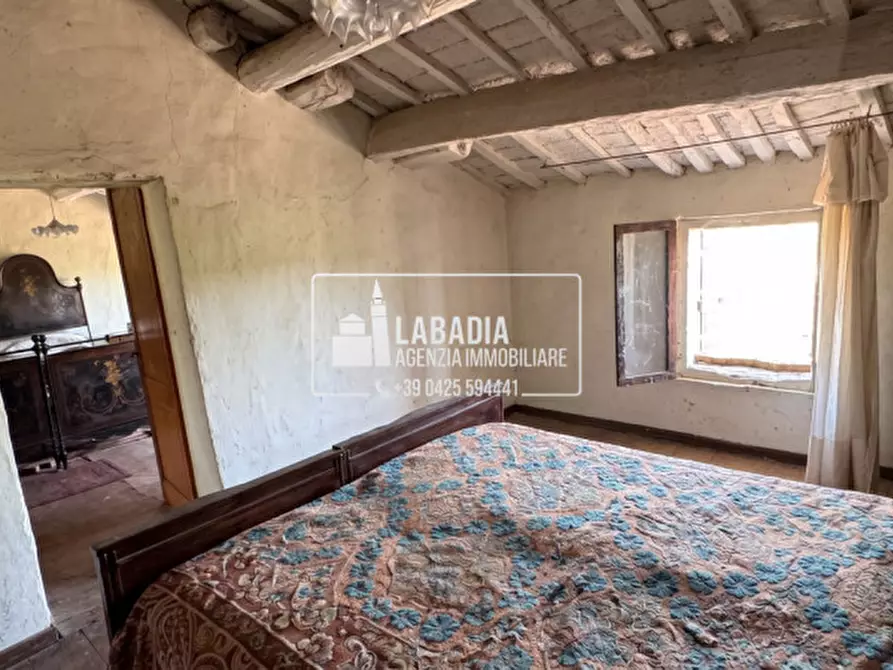 Immagine 39 di Rustico / casale in vendita  in Via Trecenta - SP11 1965 a Ceneselli